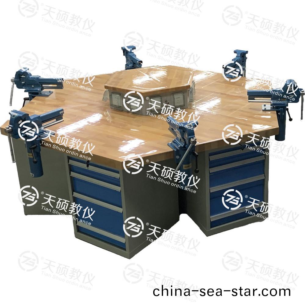 TSBTQG-3型 鉗工技能實訓平檯（六角六工位）