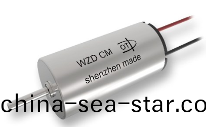 電(dian)動牙(ya)刷空心桮電機