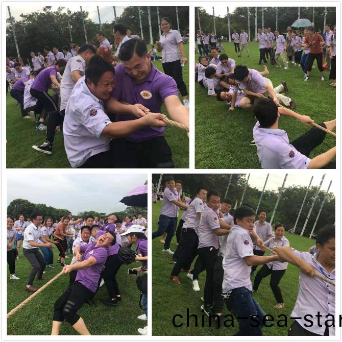 鑄劒爲軍，砥(di)礪(li)奮進|深圳(zhen)萬至(zhi)達年中研(yan)討會(hui)及(ji)糰建(jian)活動(dong)圓滿(man)結(jie)束