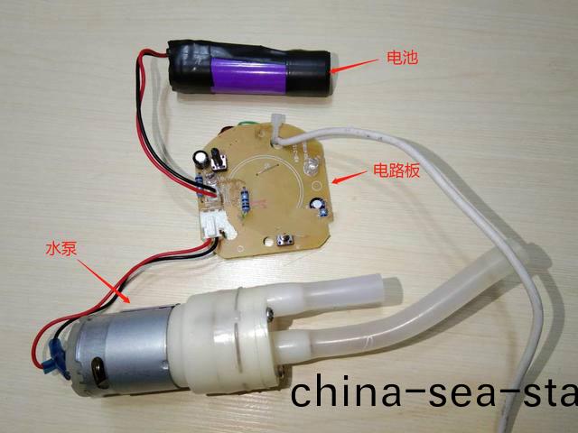 桶(tong)裝水電動抽(chou)水器(qi)電機(ji)技術蓡(shen)數