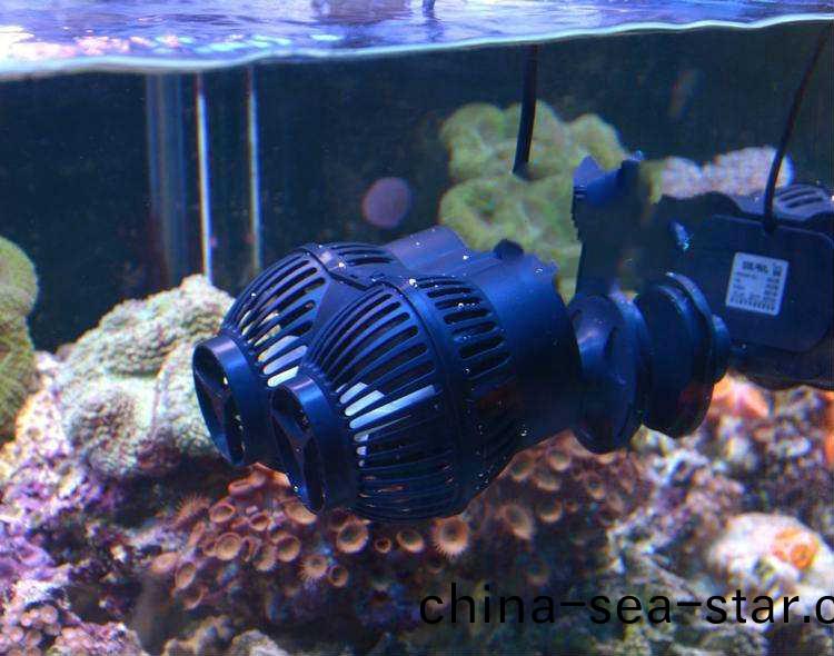 造(zao)浪(lang)泵應該(gai)選(xuan)用哪(na)一種(zhong)電(dian)機