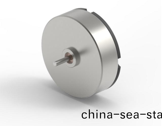 導(dao)彈舵盤(pan)執(zhi)行器用(yong)什麼電(dian)機？