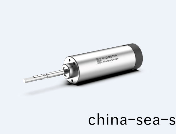 掃(sao)振電(dian)動牙(ya)刷(shua)無刷(shua)伺(ci)服(fu)電(dian)機(ji)解決方(fang)案