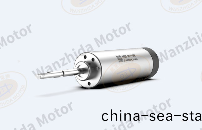 掃振(zhen)電動(dong)牙(ya)刷(shua)無(wu)刷伺服(fu)電(dian)機解(jie)決(jue)方(fang)案(an)_WZD-EM1745A無刷電(dian)機-萬至(zhi)達電(dian)機