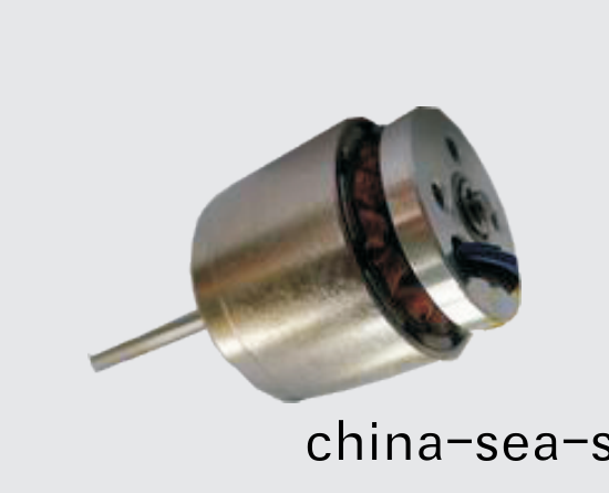 OT-EM2828無(wu)刷(shua)電(dian)機(ji)