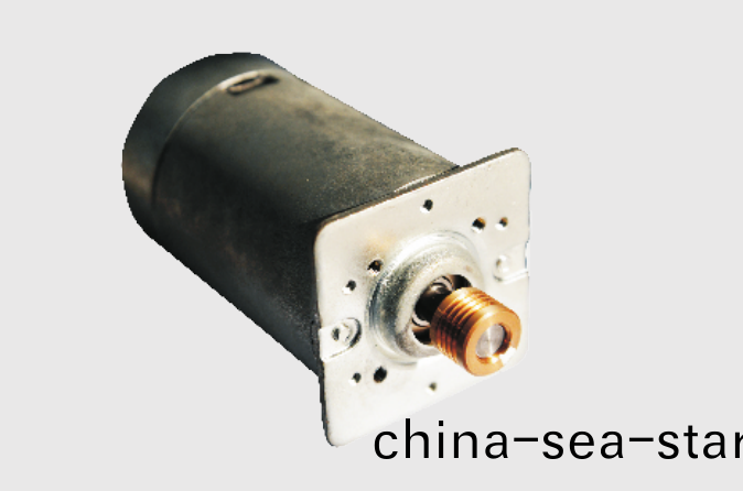 OT-RK-3632PH-3739-105.5按摩器有刷(shua)電機 OT-RK-3632PH-3739-105.5按摩器(qi)有刷(shua)電(dian)機(ji)