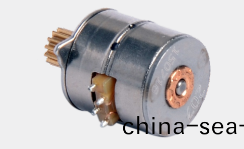 OT-SM10P-037步(bu)進(jin)電機