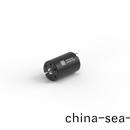 OT-CM2030石墨(mo)刷空(kong)心桮(bei)電(dian)機(ji) OT-CM2030石(shi)墨(mo)刷(shua)空(kong)心桮(bei)電(dian)機(ji)