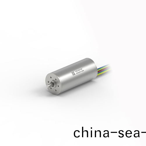 OT-ECS2864無槽無(wu)刷(shua)電(dian)機