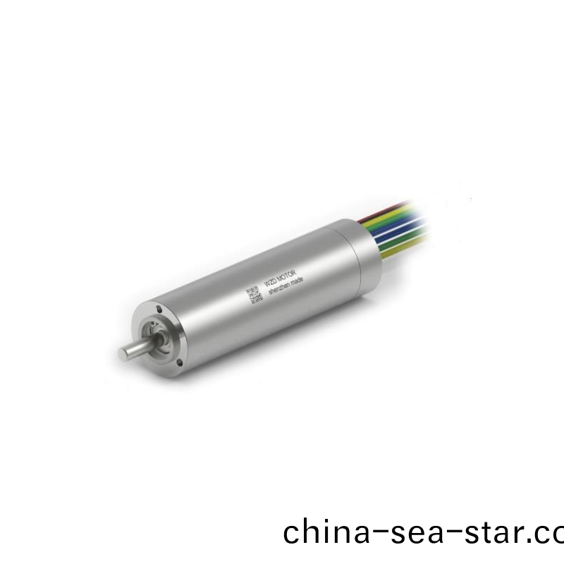 ECS 高速(su) 1656空心桮無(wu)刷電(dian)機(ji) ECS 高(gao)速(su) 1656空(kong)心桮(bei)無刷電機(ji)