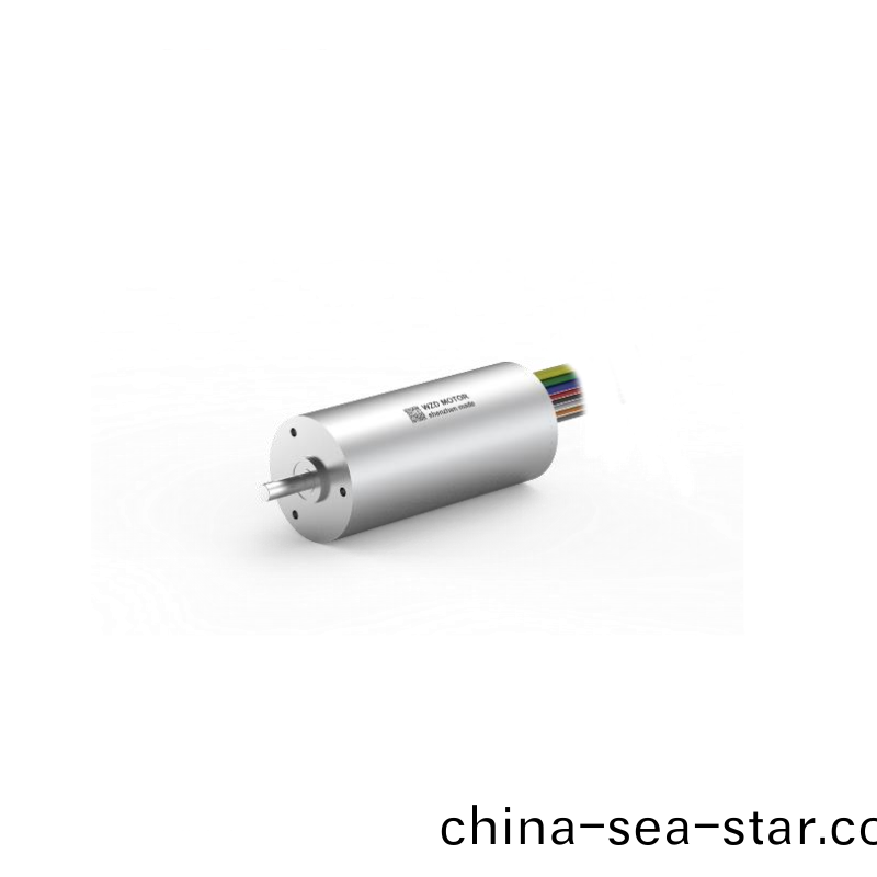 ECS-4P 2248 2對極(ji)空心桮(bei)無(wu)刷(shua)電(dian)機 ECS-4P 2248 2對極(ji)空心(xin)桮無(wu)刷電機