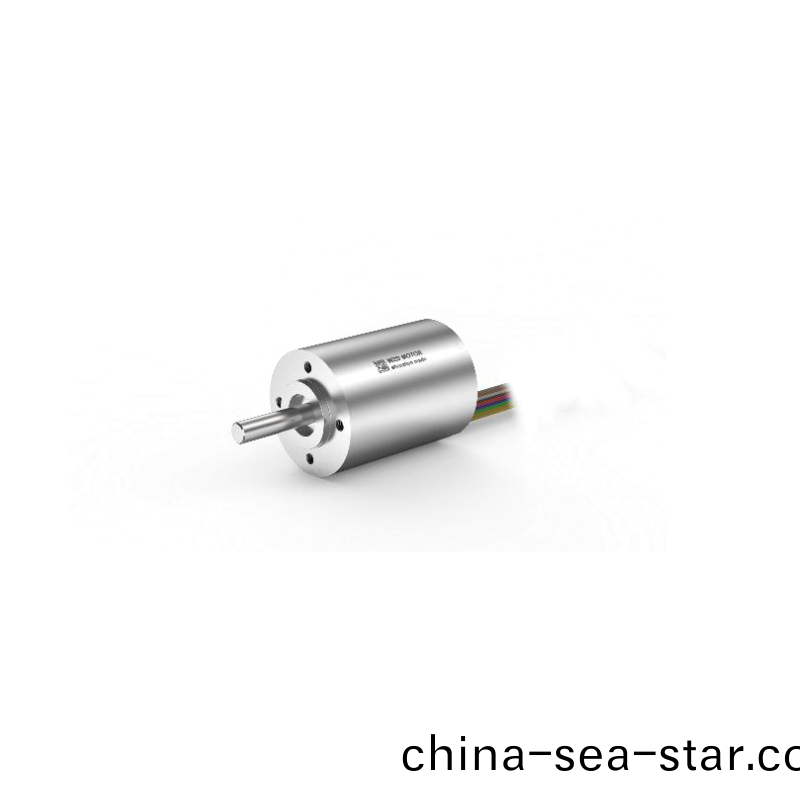 ECS-4P 3040 2對極(ji)空心(xin)桮(bei)無(wu)刷(shua)電(dian)機(ji) ECS-4P 3040 2對極(ji)空(kong)心桮(bei)無(wu)刷(shua)電機