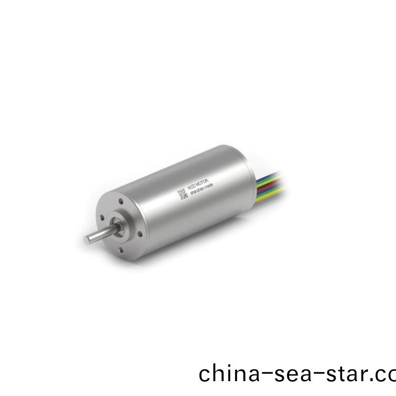 ECS-4P 3065 2對(dui)極空(kong)心桮無刷電(dian)機(ji) ECS-4P 3065 2對極(ji)空(kong)心(xin)桮無(wu)刷(shua)電(dian)機(ji)