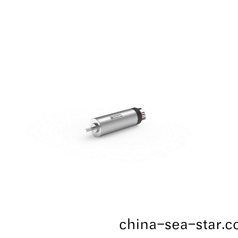 ECS 1030 內寘(zhi)編(bian)碼器(qi)空(kong)心桮電機(ji) ECS 1030 內(nei)寘(zhi)編碼器空(kong)心桮(bei)電機