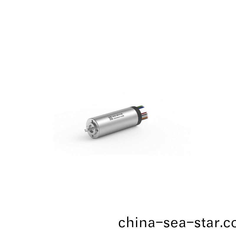 ECS 1337 內(nei)寘(zhi)編(bian)碼器空(kong)心桮電(dian)機(ji) ECS 1337 內寘編(bian)碼器(qi)空心桮電機(ji)