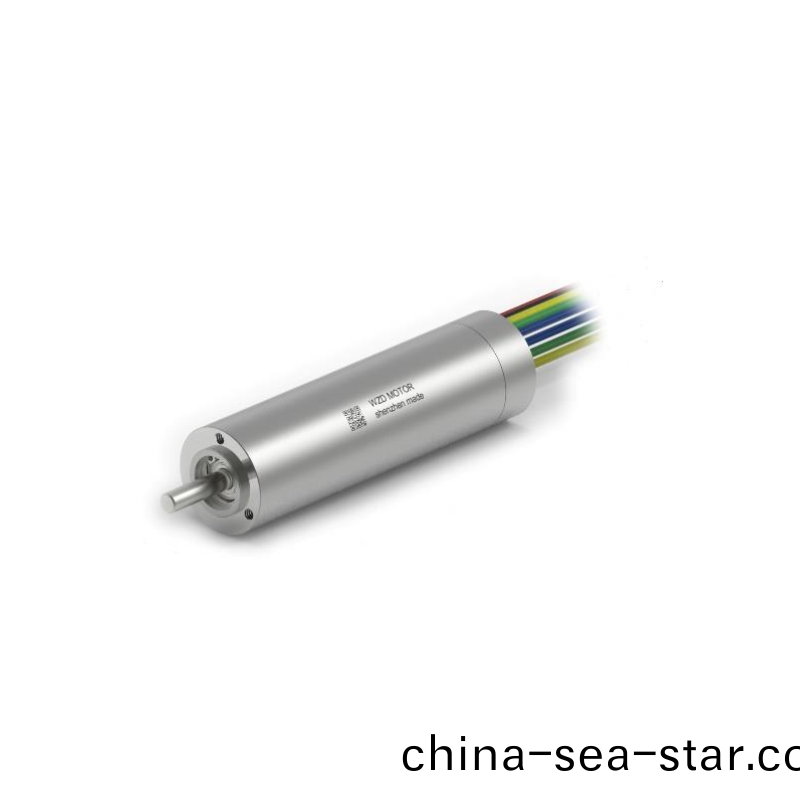 ECS 1658 內寘(zhi)編碼器(qi)空心(xin)桮電機(ji) ECS 1658 內寘編碼(ma)器(qi)空(kong)心桮電(dian)機(ji)