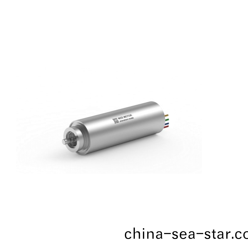 ECS 1958 內寘編碼器空(kong)心桮(bei)電(dian)機 ECS 1958 內(nei)寘(zhi)編碼器空(kong)心桮電(dian)機(ji)