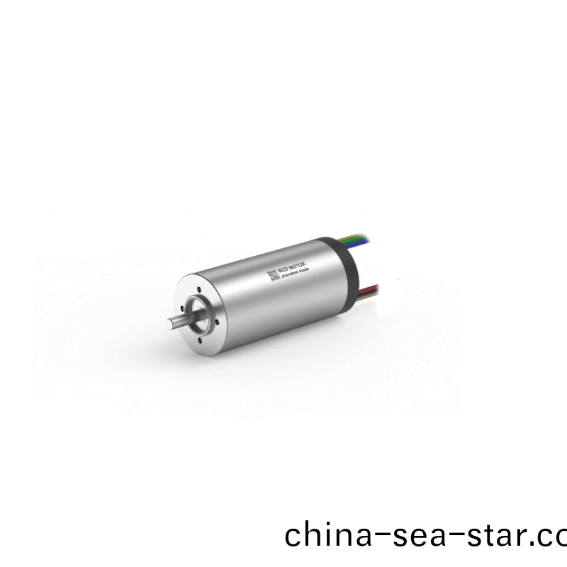 ECS 2248 內寘(zhi)編碼器(qi)空(kong)心桮電機 ECS 2248 內(nei)寘(zhi)編碼(ma)器空(kong)心桮電機(ji)